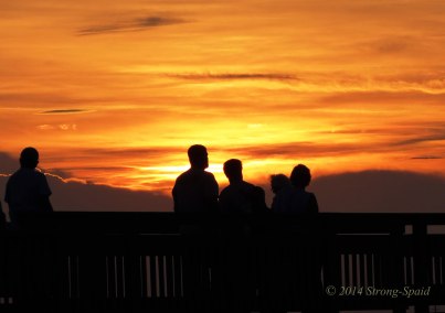 sunset-silhouettes2
